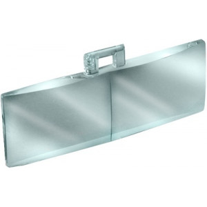 Plaque oculaire seule, grossissement 2 x